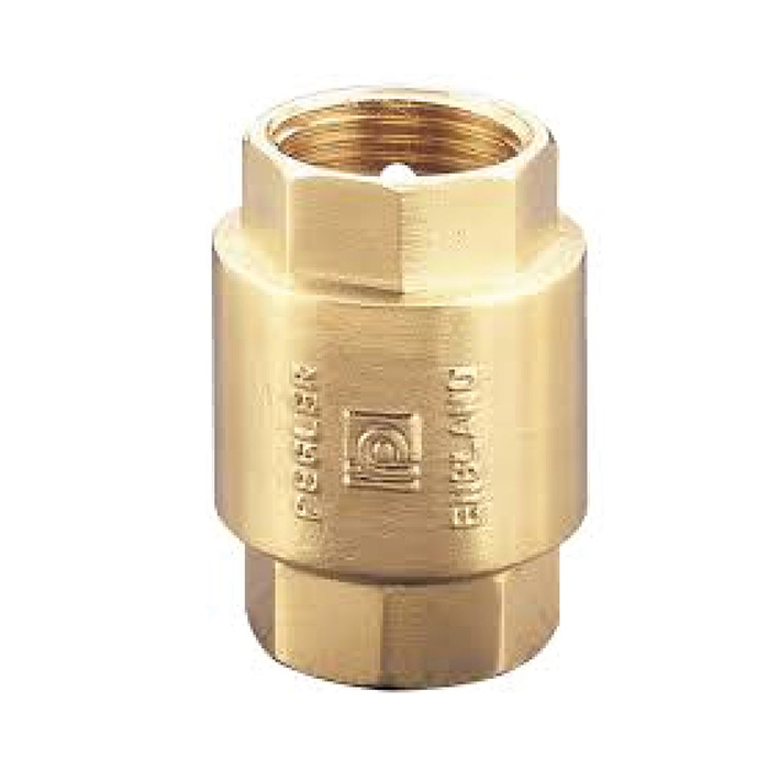 Check Valve 2 inch Spring Type Pegler